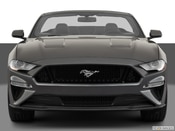 2019 Ford Mustang Exterior: 1