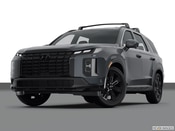 2024 Hyundai Palisade Exterior: 1