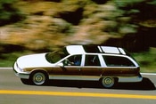 1995 Buick Roadmaster Lifestyle: 2