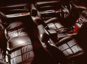 1997 Nissan Maxima Lifestyle: 1