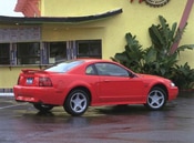 2000 Ford Mustang Lifestyle: 2