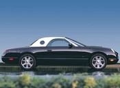 2004 Ford Thunderbird Lifestyle: 1
