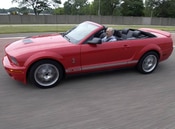 2008 Ford Mustang Lifestyle: 1