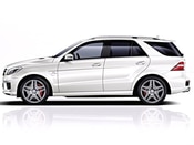 2012 Mercedes-Benz M-Class Lifestyle: 1