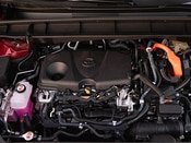 2021 Toyota Highlander Hybrid Lifestyle: 1