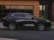 2022 Lexus NX All Media: 1