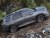 2025 Honda Pilot Lifestyle: 0