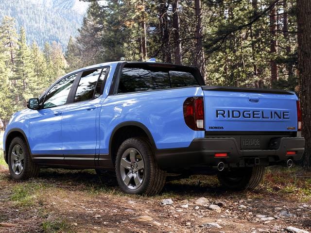 Ridgeline ハミングバード Hummingbird original / RED HEAD STANDARD | RIDGELINE ONLINE SHOP