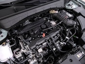 2026 Hyundai Kona Lifestyle: 2