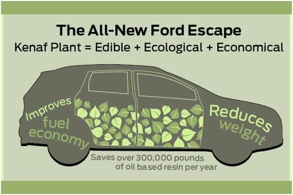 New ford escape plant #3